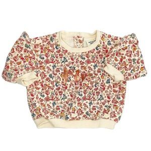 Pull 3 mois (60 cm)